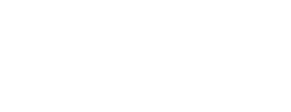 Logo Fysio 4 wit
